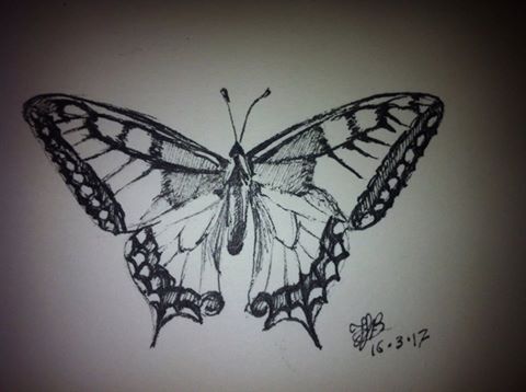 17342919_1352340988158646_766575895843678363_n